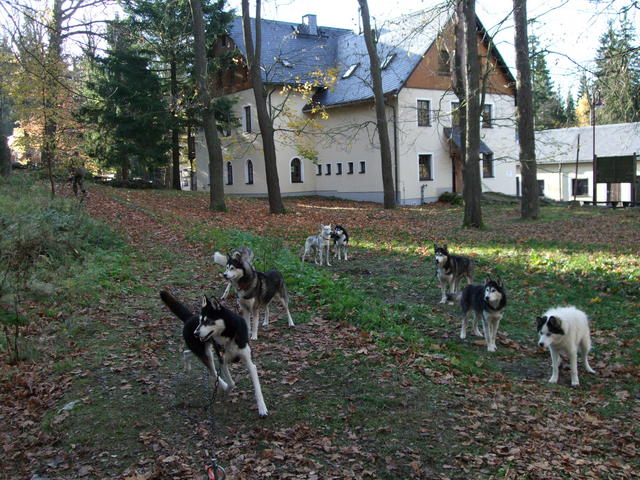 640x480/dscf3271.jpg