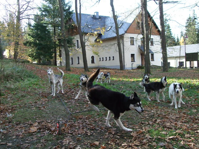 640x480/dscf3272.jpg