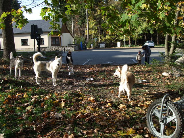 640x480/dscf3273.jpg