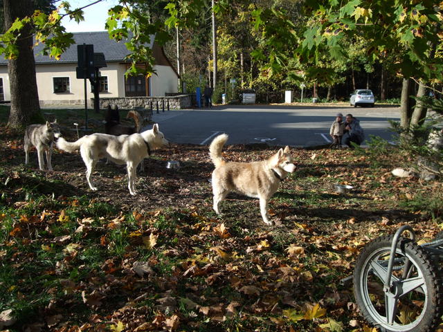 640x480/dscf3274.jpg