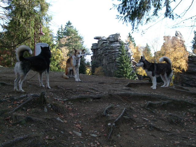 640x480/dscf3301.jpg