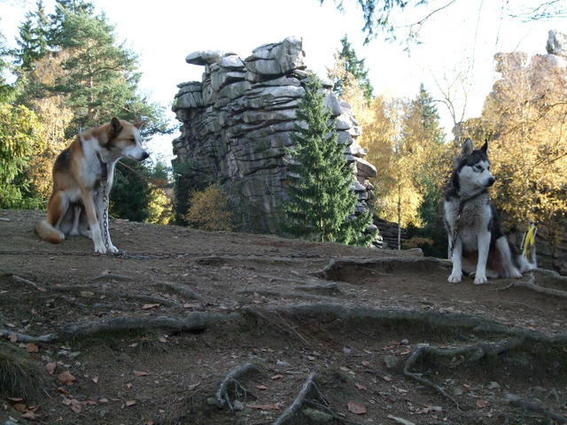 640x480/dscf3302.jpg