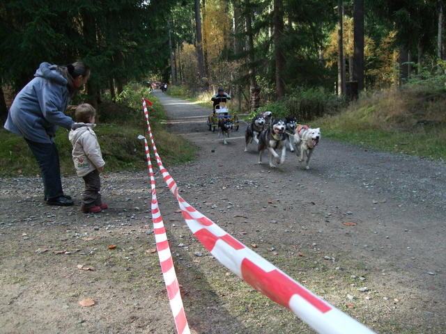 640x480/dscf3365.jpg