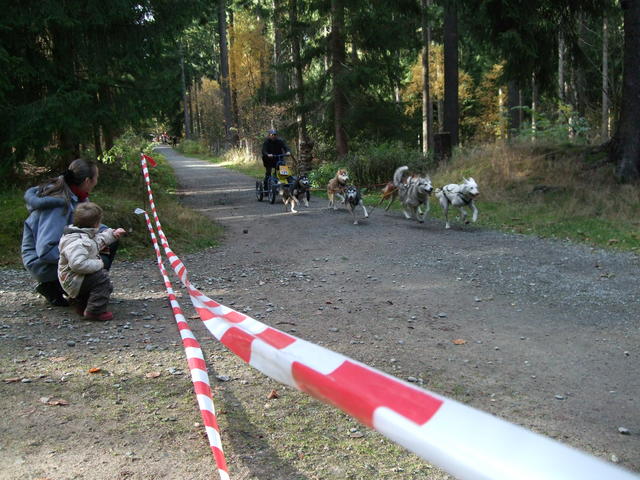 640x480/dscf3366.jpg
