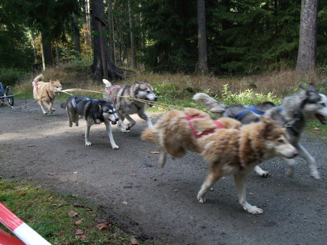 640x480/dscf3367.jpg