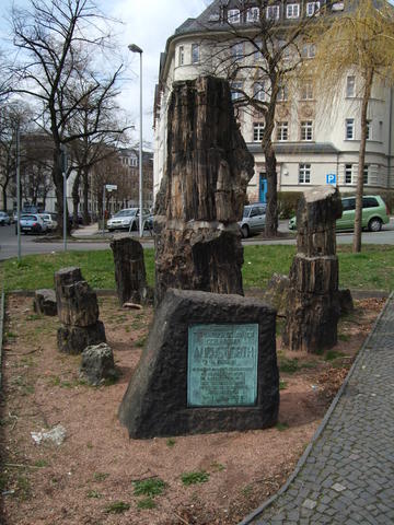 640x480/dscf1159.jpg