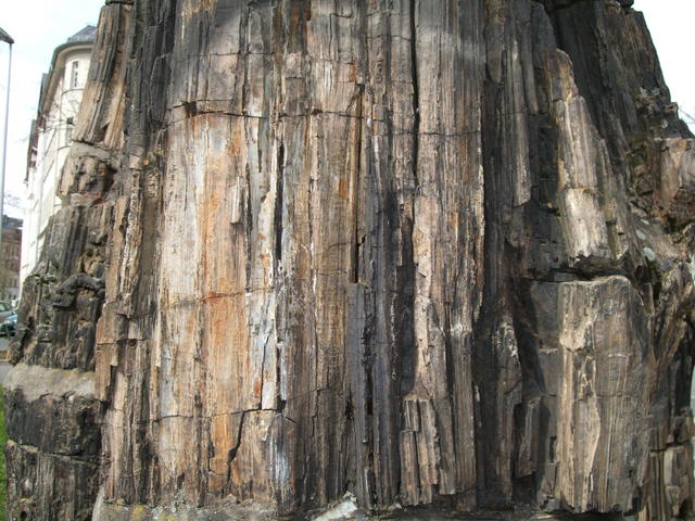 640x480/dscf1164.jpg