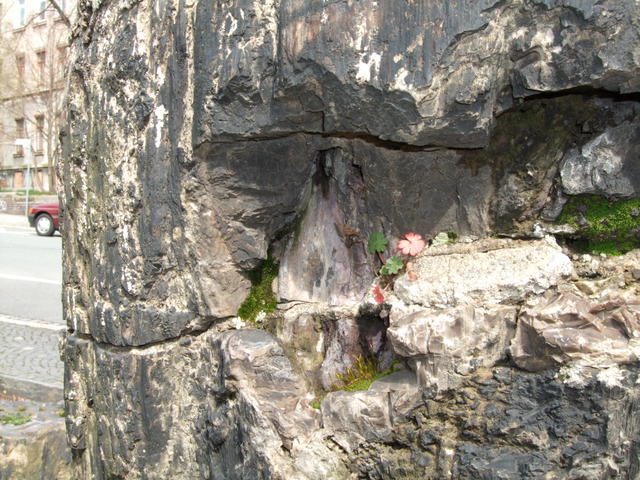 640x480/dscf1166.jpg