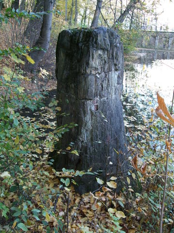 640x480/dscf3186.jpg