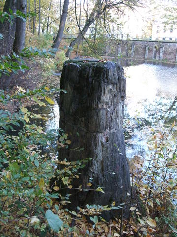 640x480/dscf3187.jpg