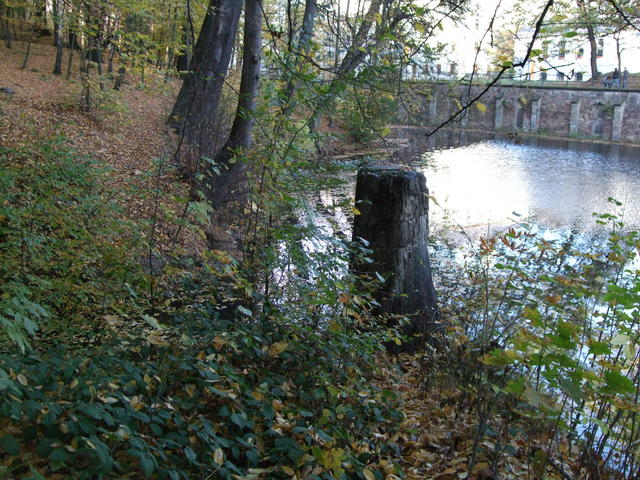 640x480/dscf3188.jpg