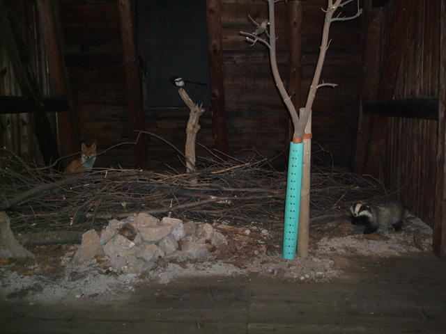 640x480/dscf9293.jpg