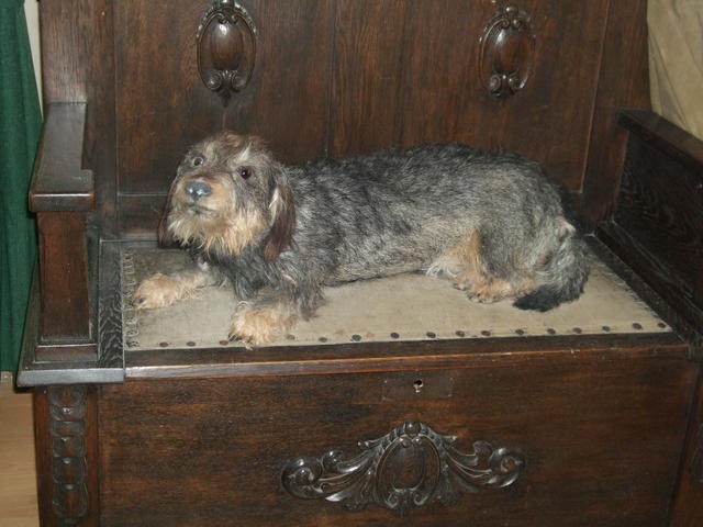 640x480/dscf9296.jpg