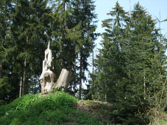 640x480/dscf9453.jpg