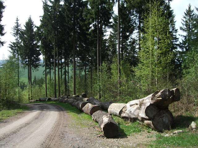 640x480/dscf9455.jpg