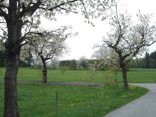 640x480/dscf9465.jpg