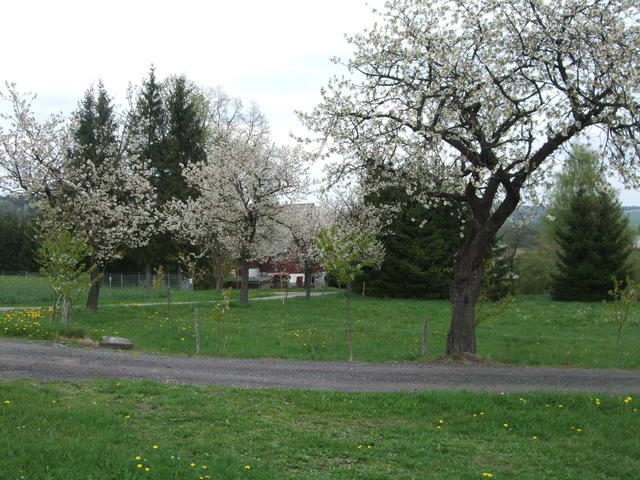 640x480/dscf9467.jpg