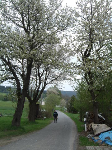 640x480/dscf9469.jpg