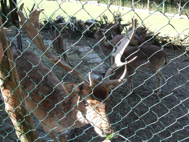 640x480/dscf5480.jpg