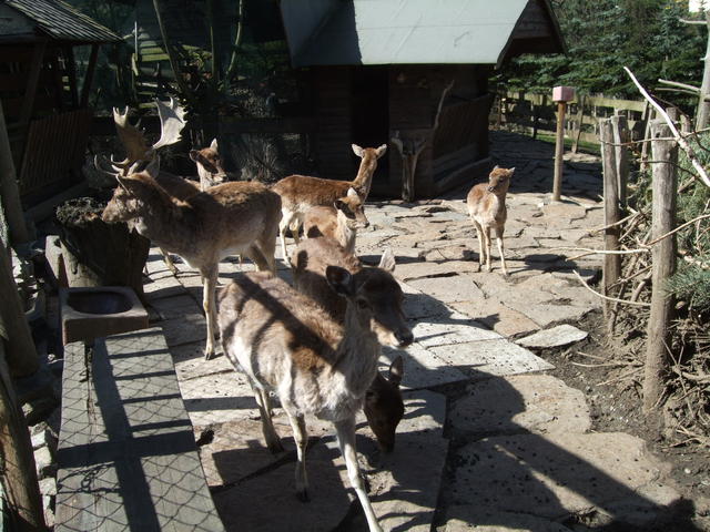 640x480/dscf5482.jpg