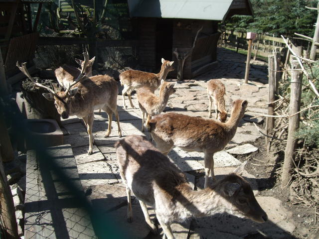 640x480/dscf5483.jpg