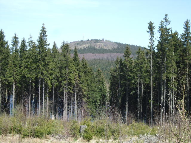 640x480/dscf5501.jpg