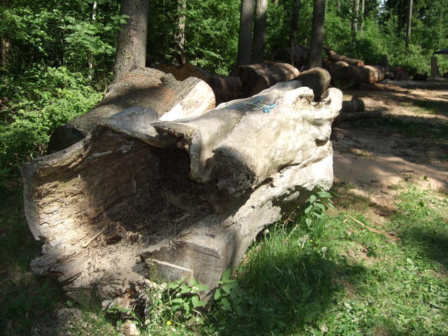640x480/dscf5765.jpg
