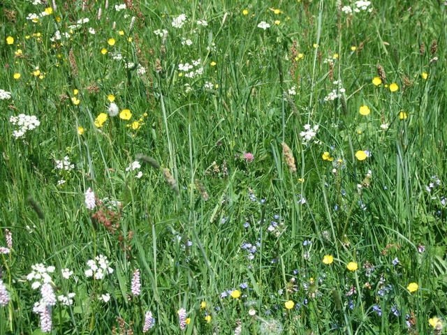 640x480/dscf5813.jpg