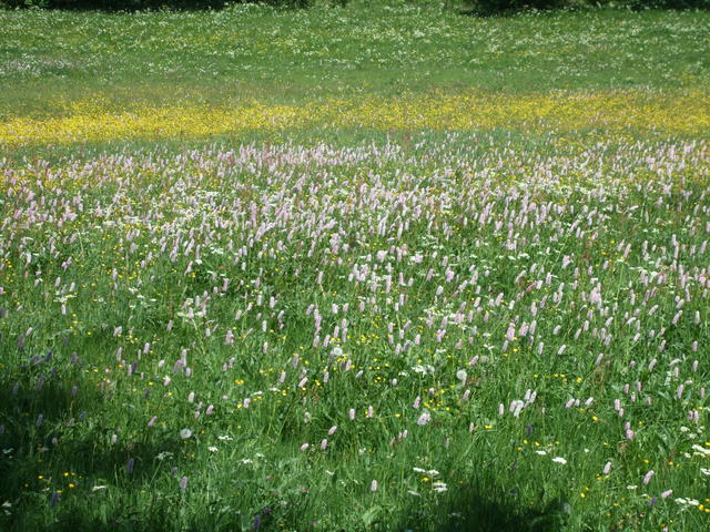 640x480/dscf5815.jpg