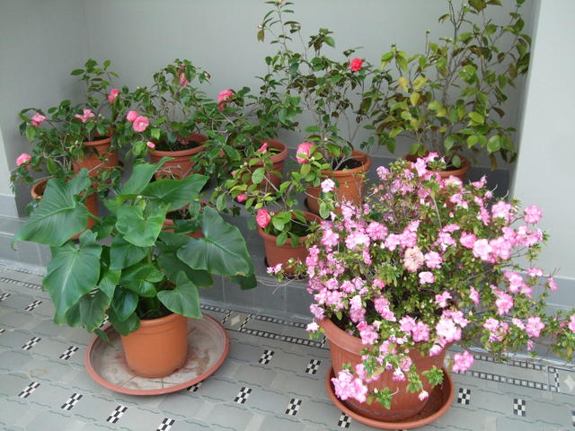 640x480/dscf8066.jpg