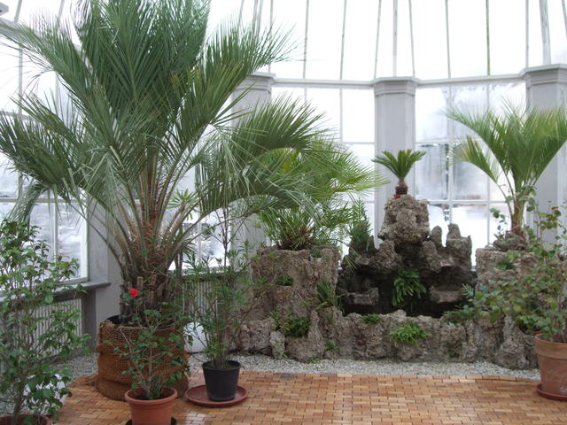640x480/dscf8067.jpg