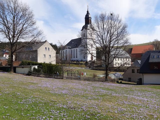 640x480/drebach05_krokus.jpg