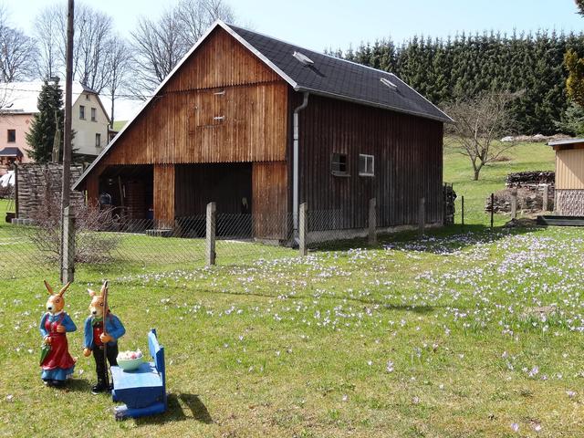 640x480/drebach09_krokus.jpg
