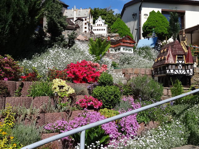 640x480/dsc02921.jpg