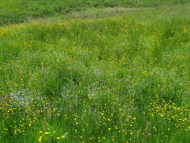 640x480/dsc04065.jpg