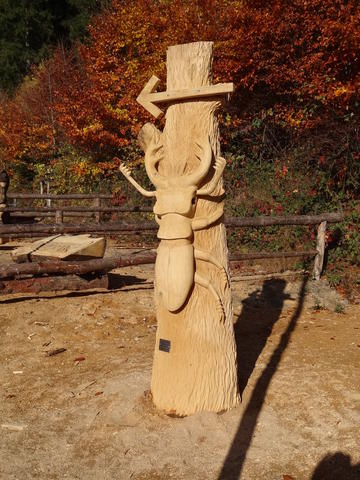 640x480/dsc06962.jpg