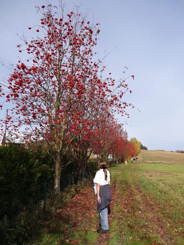 640x480/dsc06983.jpg