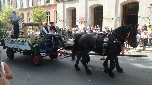 640x480/p8274592.jpg