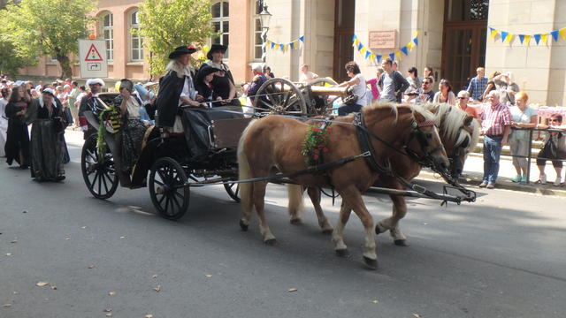640x480/p8274595.jpg