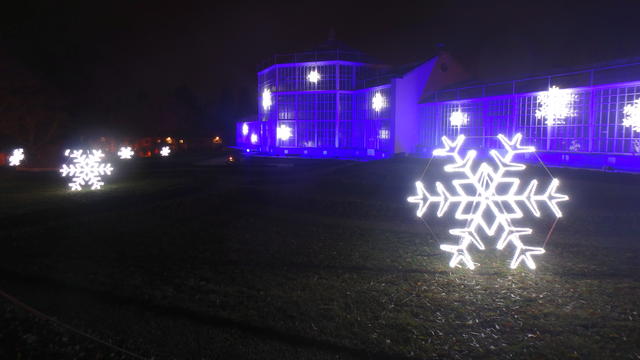 640x480/PillnitzChrismas07EisPalast.jpg