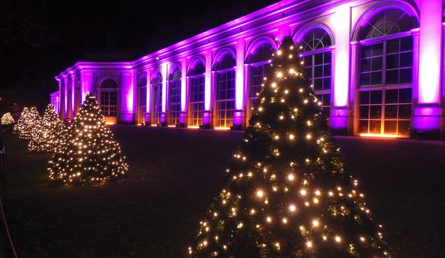 640x480/PillnitzChrismas09Orangerie.jpg