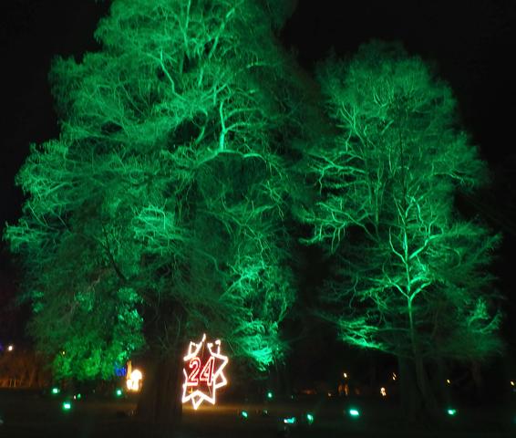 640x480/PillnitzChrismas24Baum24.jpg