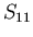 $S_{11}$